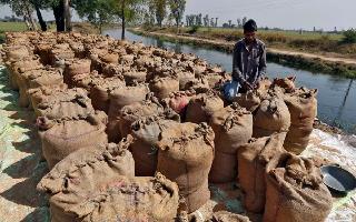 IMF Encourages India To Lift Restrictions On Rice Export